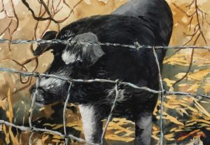 Julianne Garvey ~ "Blue Ribbon Pig" ~ Watercolor on Paper 8" x 12"
